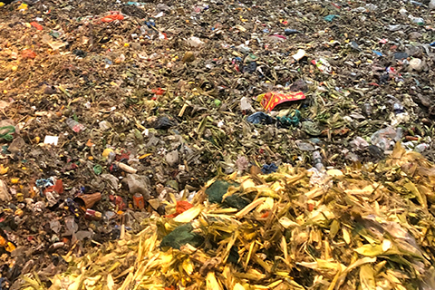 餐廚垃圾資源化